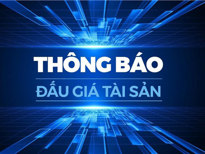 Thông báo đấu giá động sản